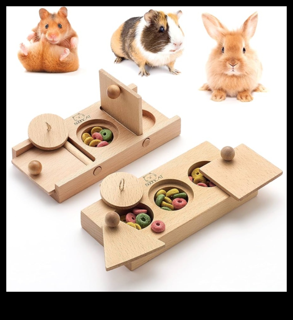 Hamster Enrichment Ideas Continued DIY Puzzles and Brain Games 1