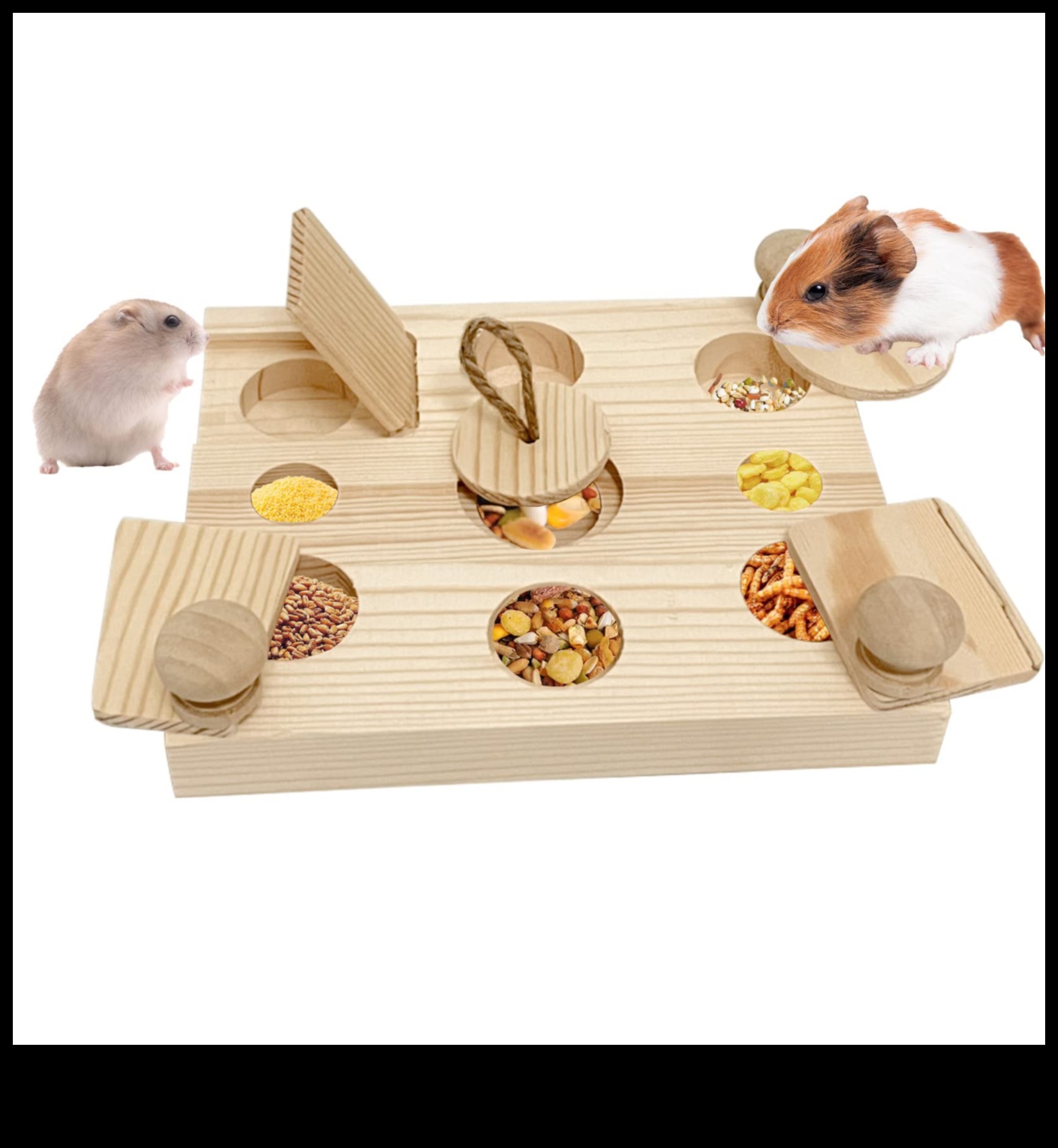 Hamster Enrichment Ideas Continued: DIY Puzzles and Brain Games