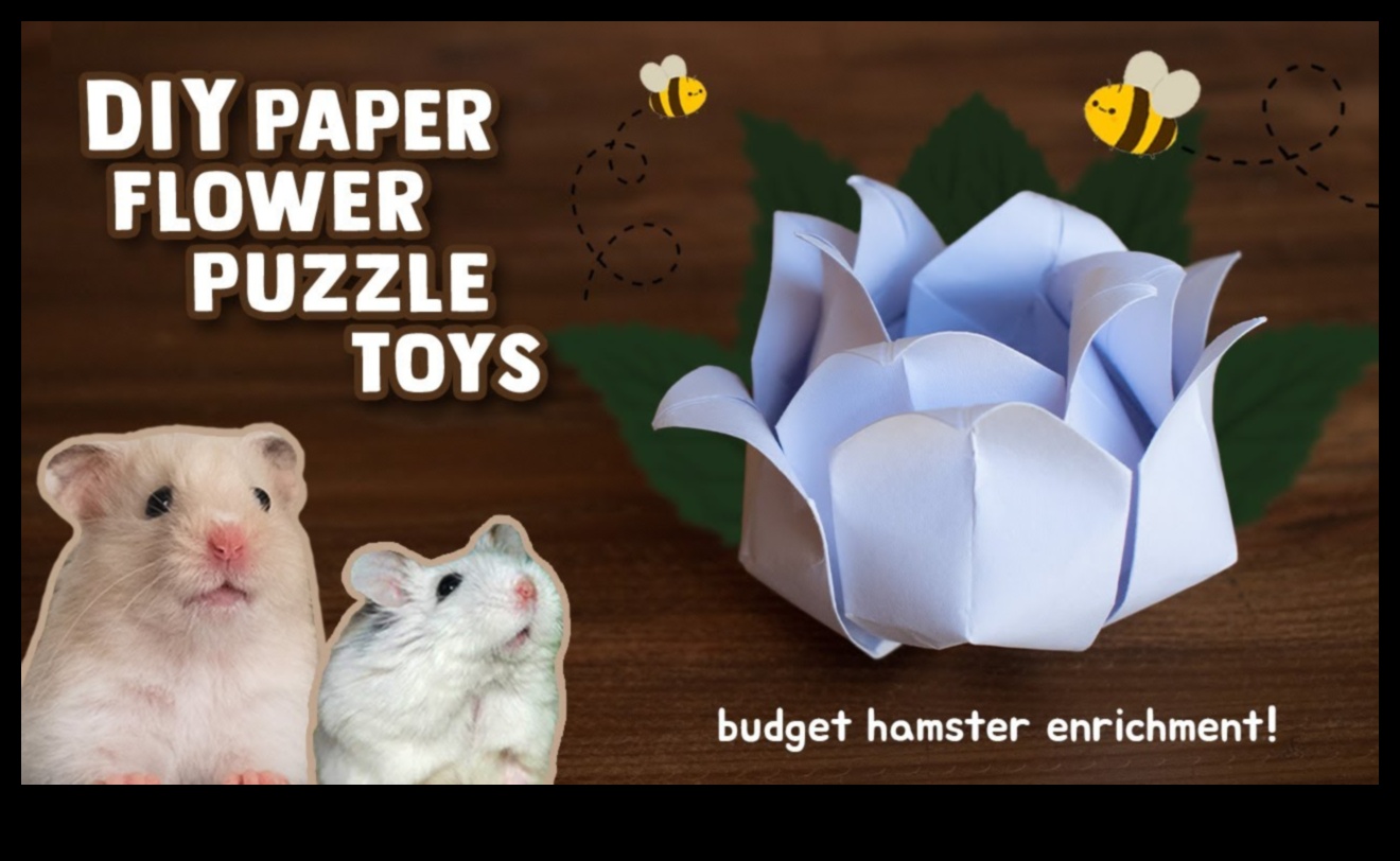 Hamster Enrichment Ideas Continued: DIY Puzzles and Brain Games