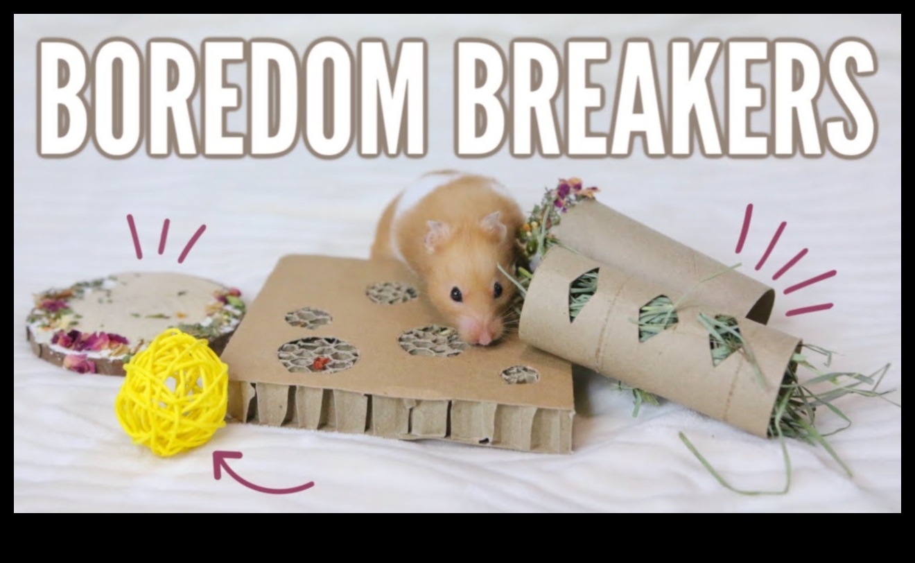 Hamster Enrichment Ideas Continued: Sensory Activities for Stimulation
