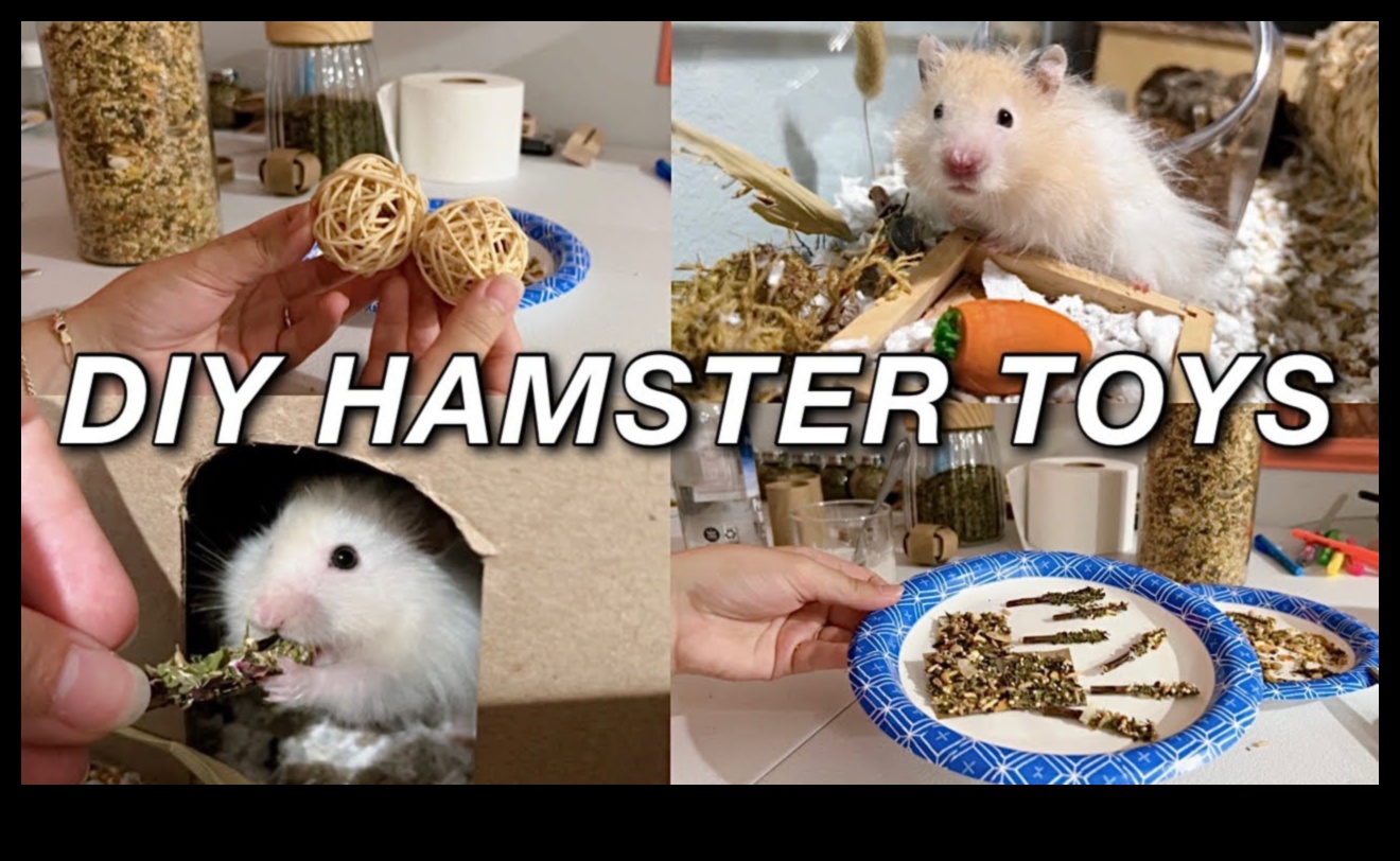 Hamster Enrichment Ideas Continued: Sensory Activities for Stimulation