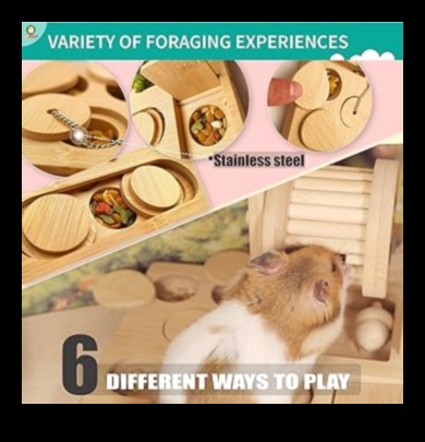 Hamster Enrichment Ideas Continued: Sensory Activities for Stimulation