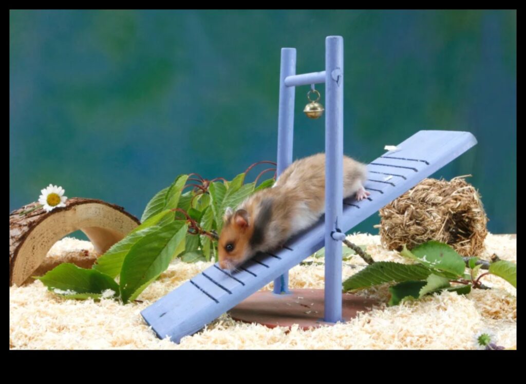 Hamster Habitat Innovations Incorporating Technology for Comfort 1