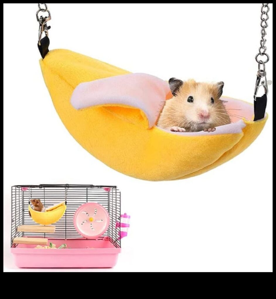 Hamster Hammocks and Swings Adding Comfort and Entertainment 1