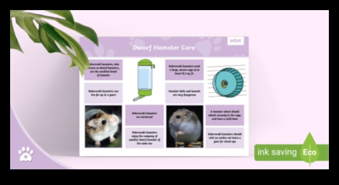 Hamster Health Checkers: Monitoring Wellness with Engaging Games