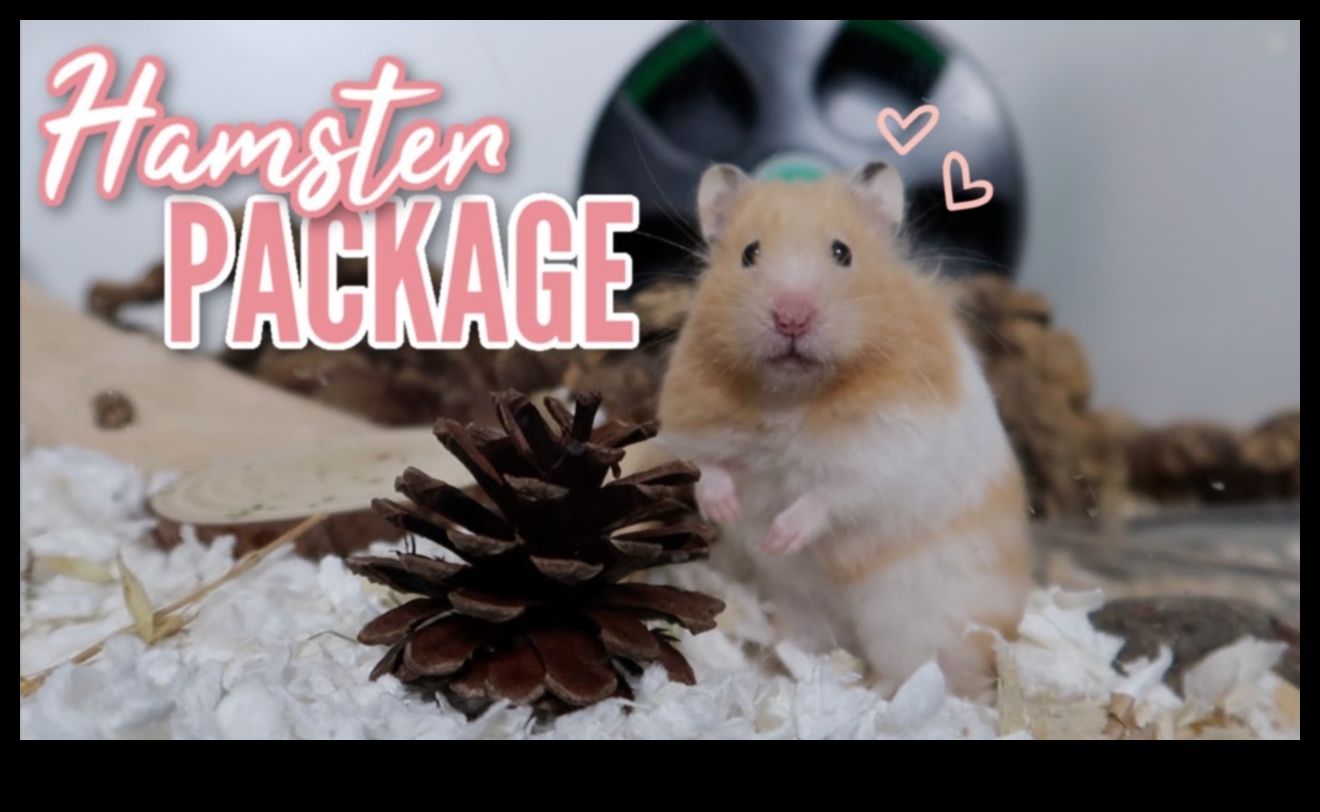 Hamster Health Hub: Integrating Wellness Activities for Tiny Paws