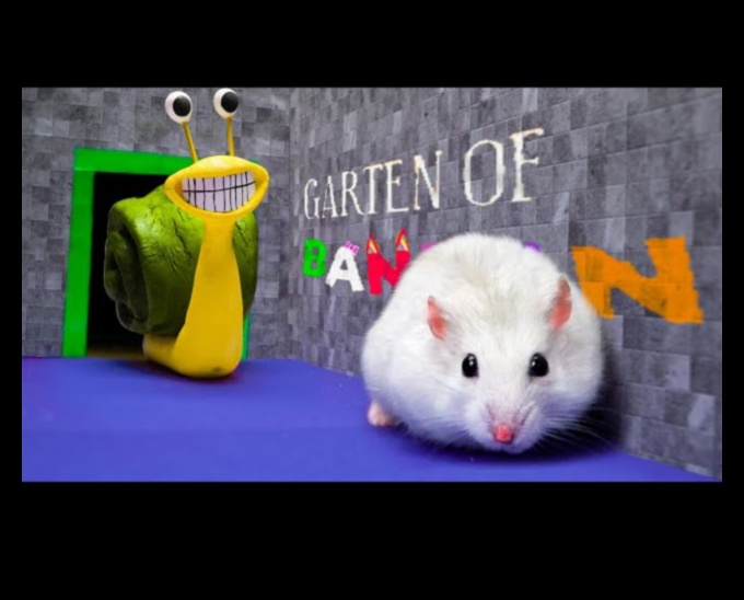 Hamster Hide-and-Seek Challenges: Building Intricate Labyrinths