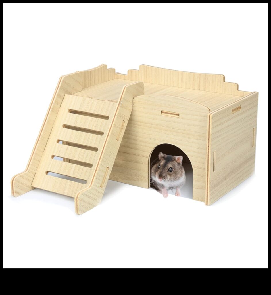 Hamster Hide-and-Seek Continued Creating Clever Hiding Spots 1