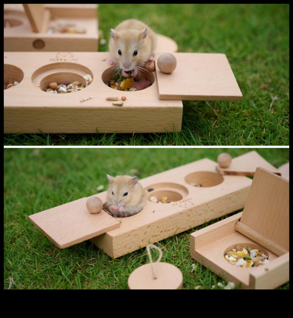 Hamster Hide-and-Seek Enrichment Games for Tiny Explorers 1