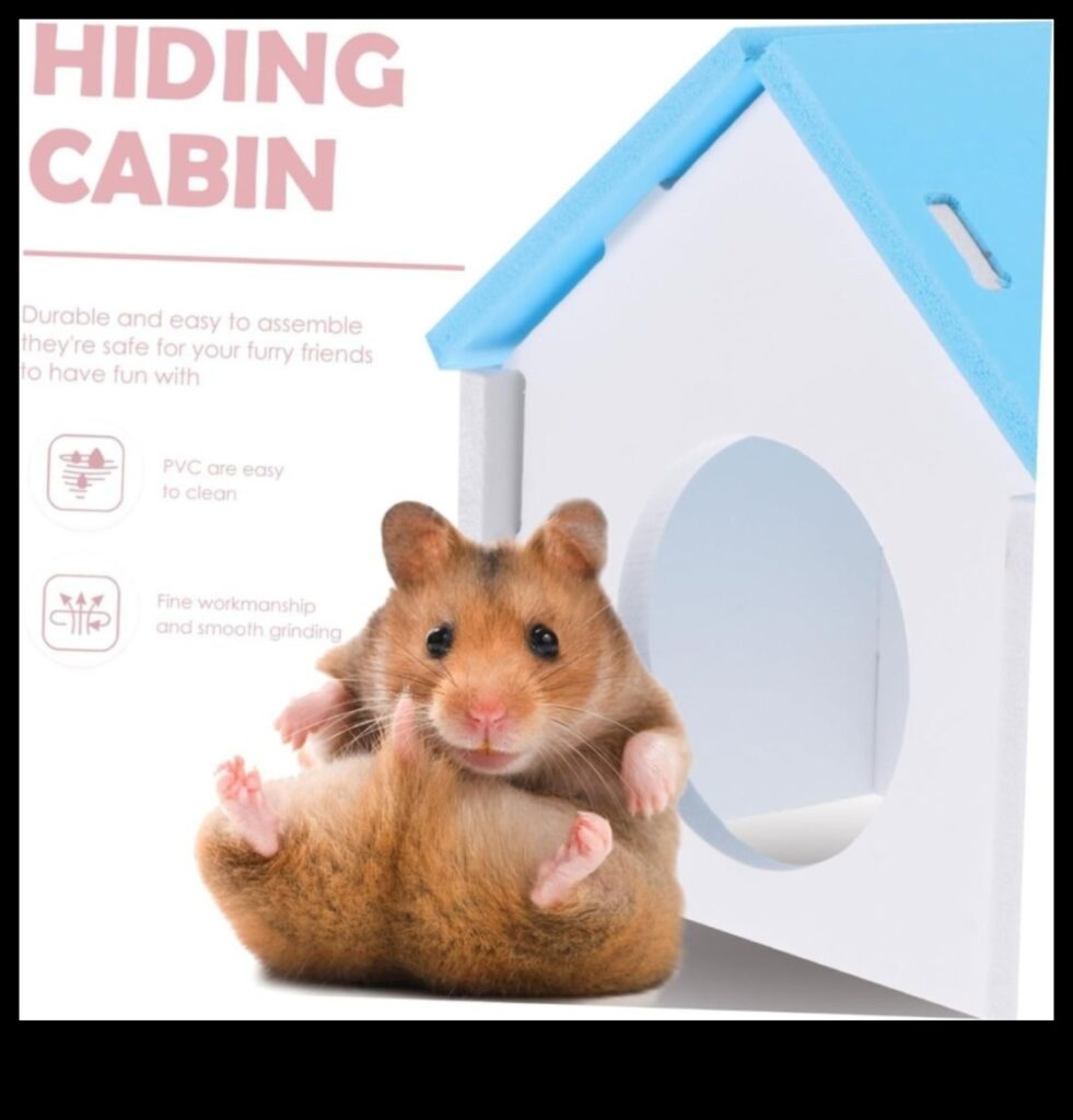 Hamster Hide-and-Seek Extravaganza Continues 10 New Hiding Spots for Your Furry Friend 1