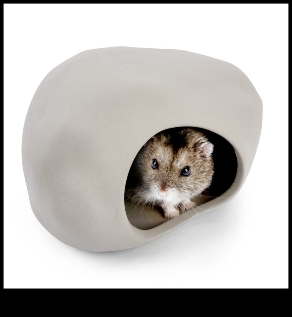 Hamster Hideaways Choosing the Best Hideouts for a Happy Hamster 1