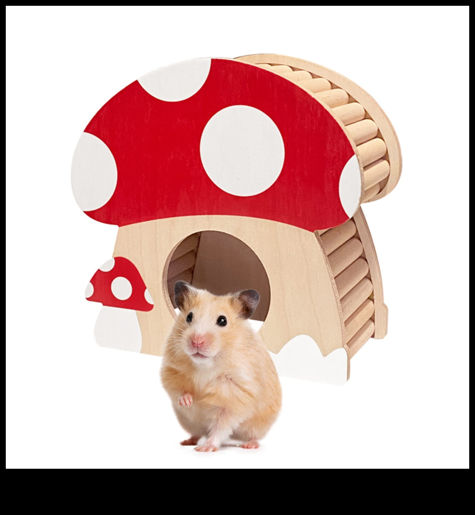 Hamster Hideaways: Choosing the Best Hideouts for a Happy Hamster