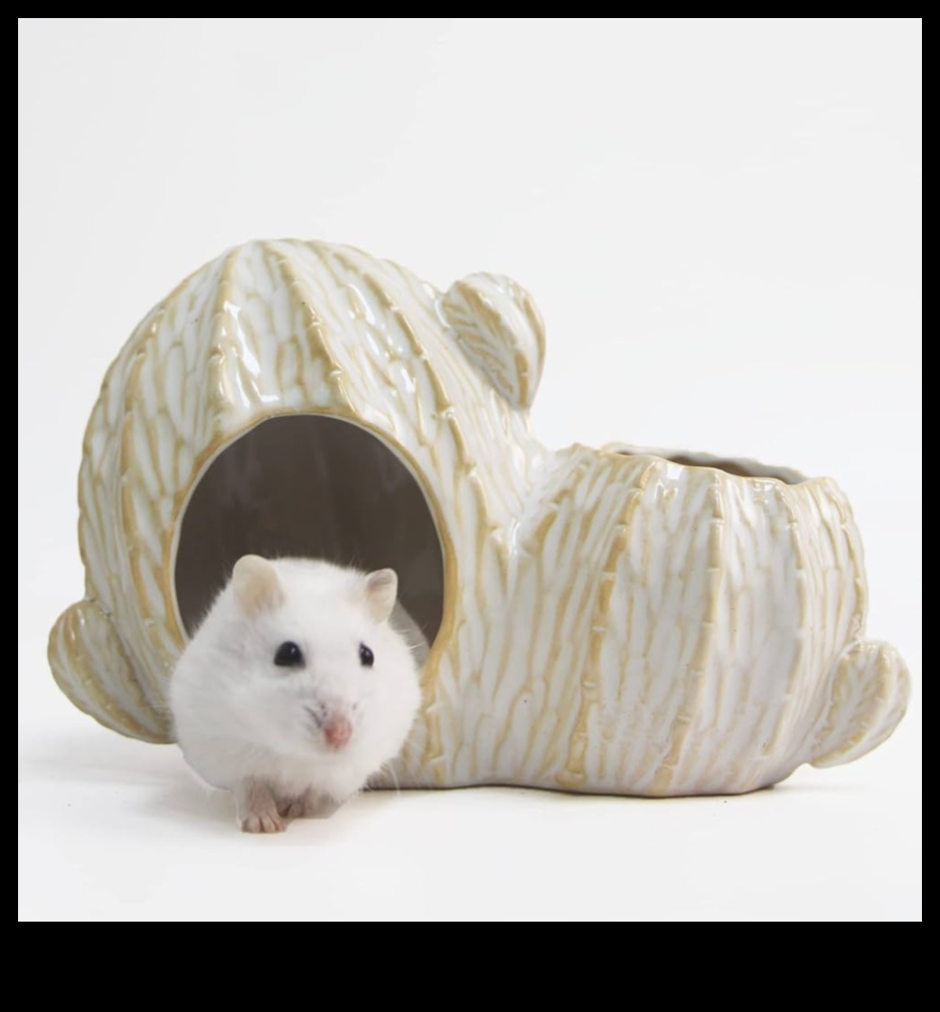 Hamster Hideaways: Choosing the Best Hideouts for a Happy Hamster