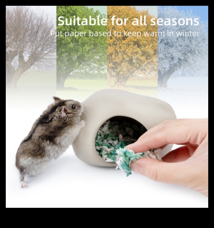 Hamster Hideaways: Choosing the Best Hideouts for a Happy Hamster