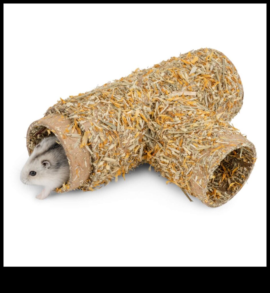 Hamster Hideouts Continued Creative Nesting Ideas 1