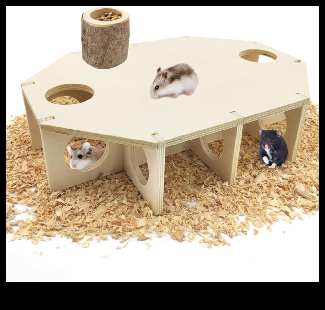 Hamster Hideouts Continued: Creative Nesting Ideas