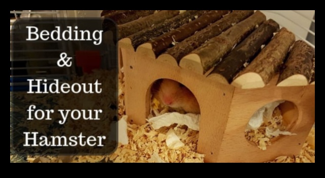 Hamster Hideouts Continued: Creative Nesting Ideas