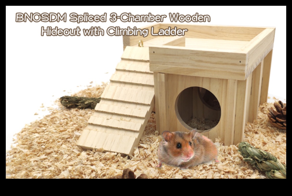 Hamster Hideouts Continued: Innovative Nesting Ideas for Added Comfort