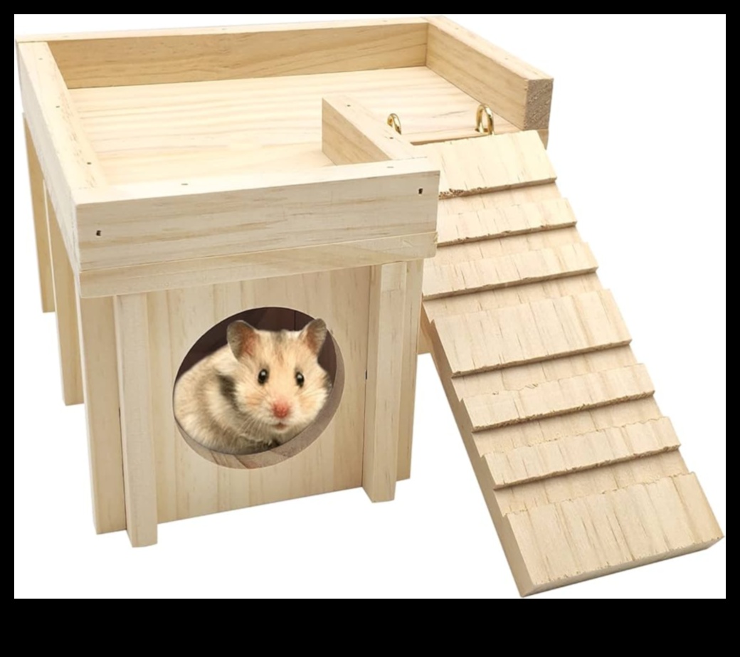Hamster Hideouts Continued: Innovative Nesting Materials and Ideas