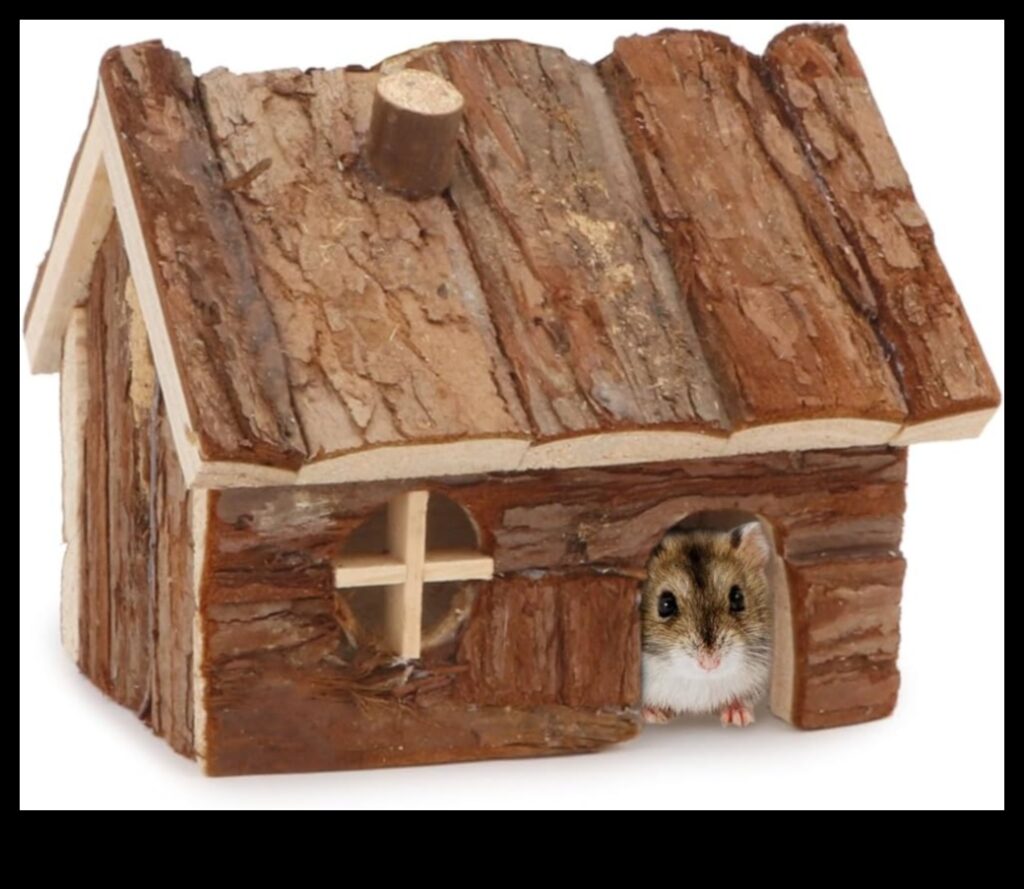 Hamster Hideouts Continued Themed and Cozy Nesting Ideas 1