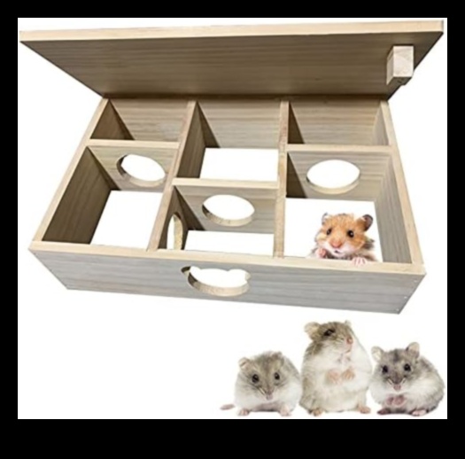 Hamster Hideouts: Providing Enriching Environments for Your Pet