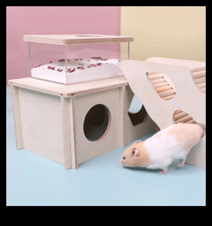 Hamster Hideouts: Providing Enriching Environments for Your Pet