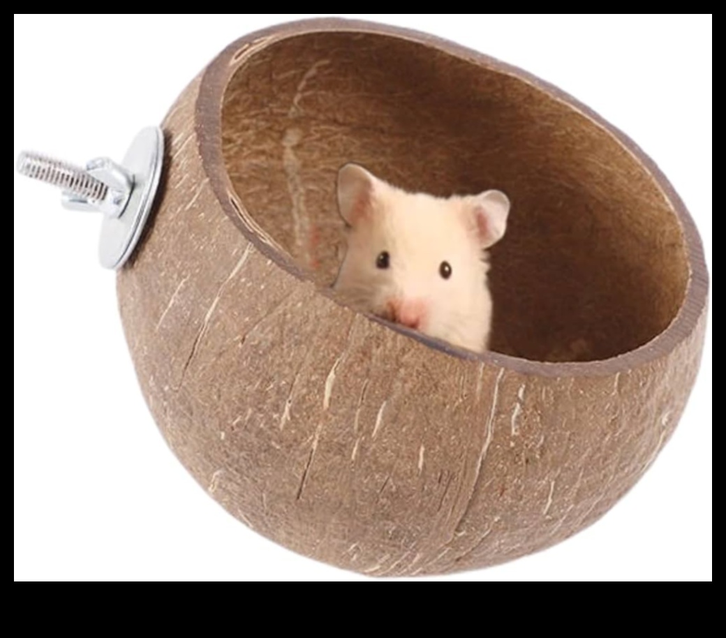 Hamster Hideouts: Providing Enriching Environments for Your Pet