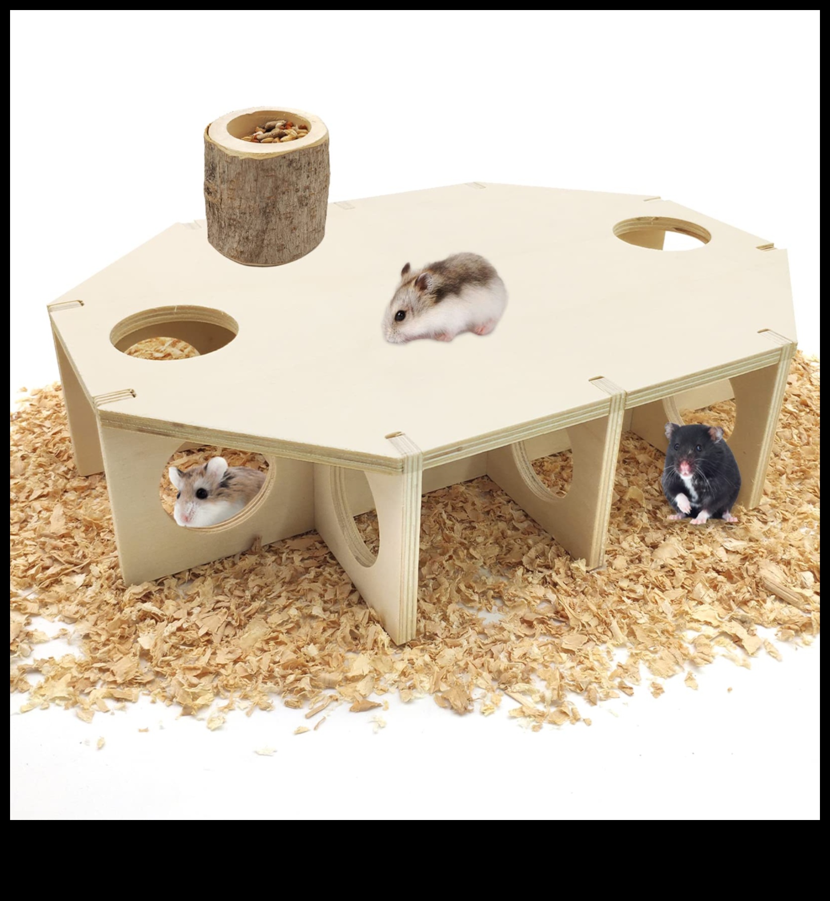 Hamster Hideouts: Providing Enriching Environments for Your Pet