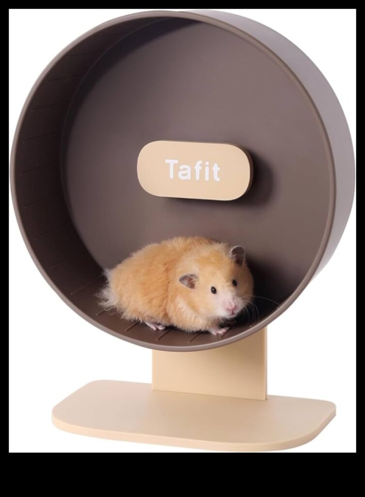 Hamster Highlights Continued 10 More Ways to Dress Your Small Rodent for the Runway 1