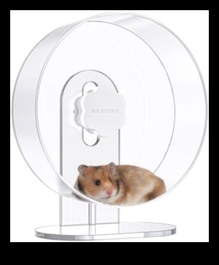 Hamster Highlights Continued: Expanding Your Small Rodent's Glamorous Closet