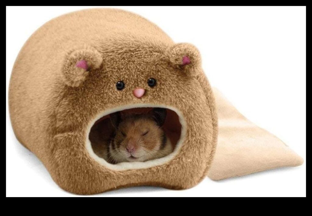 Hamster Highlights Continued A Chic Closet for Your Small Rodent 1