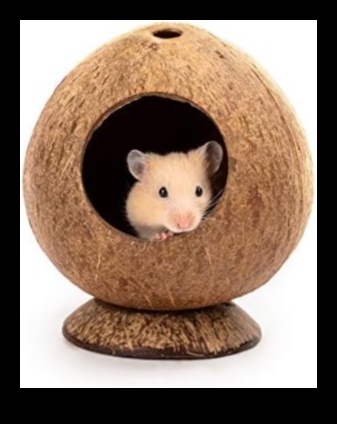 Hamster Highlights Continued: Expanding and Upgrading Your Small Rodent's Glamorous Closet