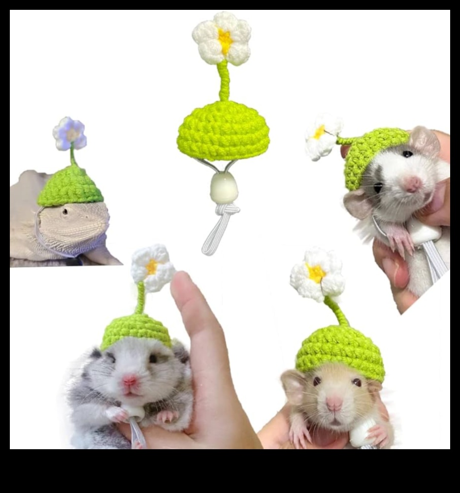 Hamster Highlights Continued: Expanding Your Small Rodent's Glamorous Wardrobe