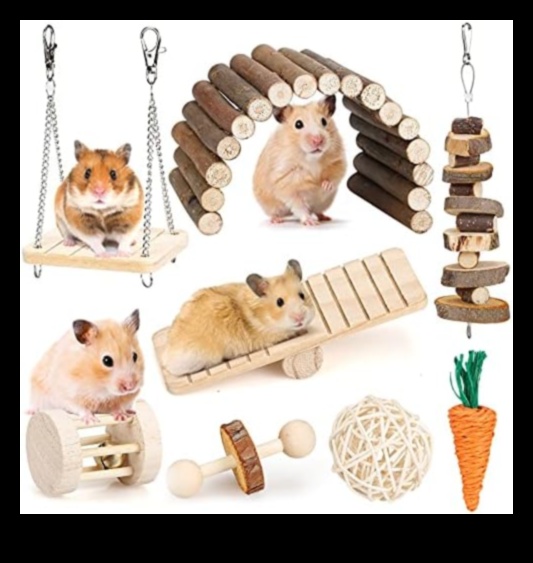 Hamster Highlights Continued: Expanding Your Small Rodent's Glamorous Wardrobe