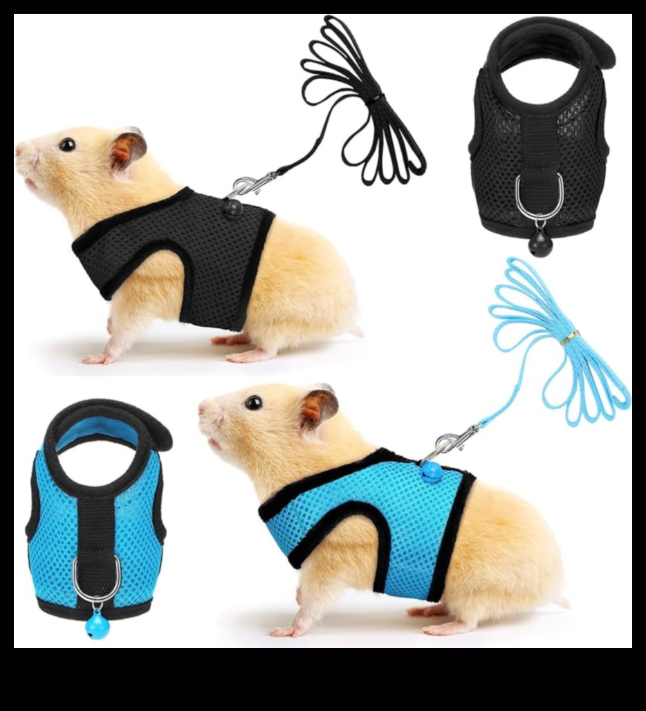 Hamster Highlights Continued: Building a Glamorous Wardrobe for Small Rodents