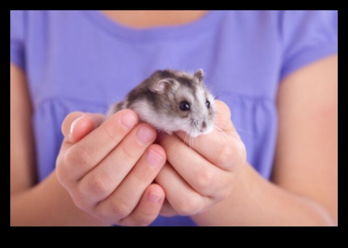 Hamster Hobbies: Discovering the Unique Talents of Pet Hamsters