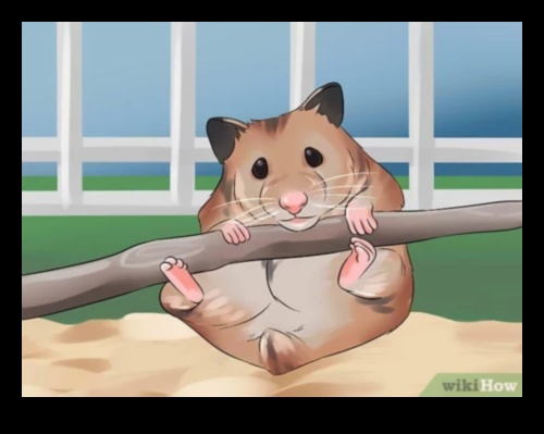 Hamster Hobbies: Discovering the Unique Talents of Pet Hamsters