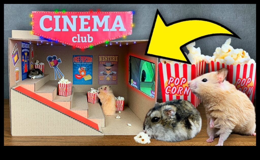 Hamster Home Cinema How to Host Cozy Movie Nights for Your Small Pets 1