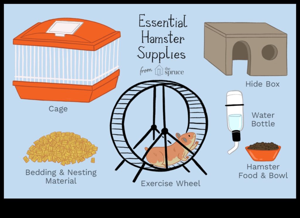 Hamster Housing Essentials Selecting the Right Cage and Bedding 1