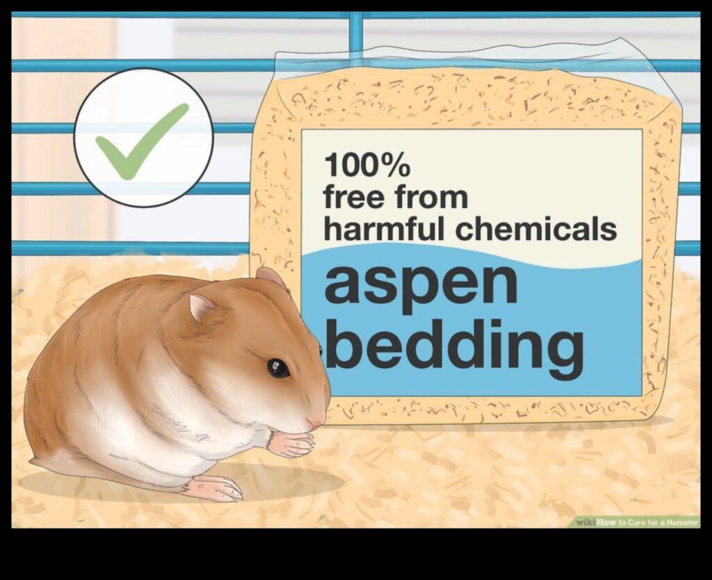 Hamster Hygiene Hacks Maintaining a Clean and Happy Living Space 1