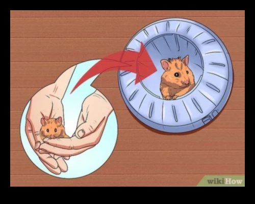 Hamster Hygiene Hacks: Maintaining a Clean and Happy Living Space