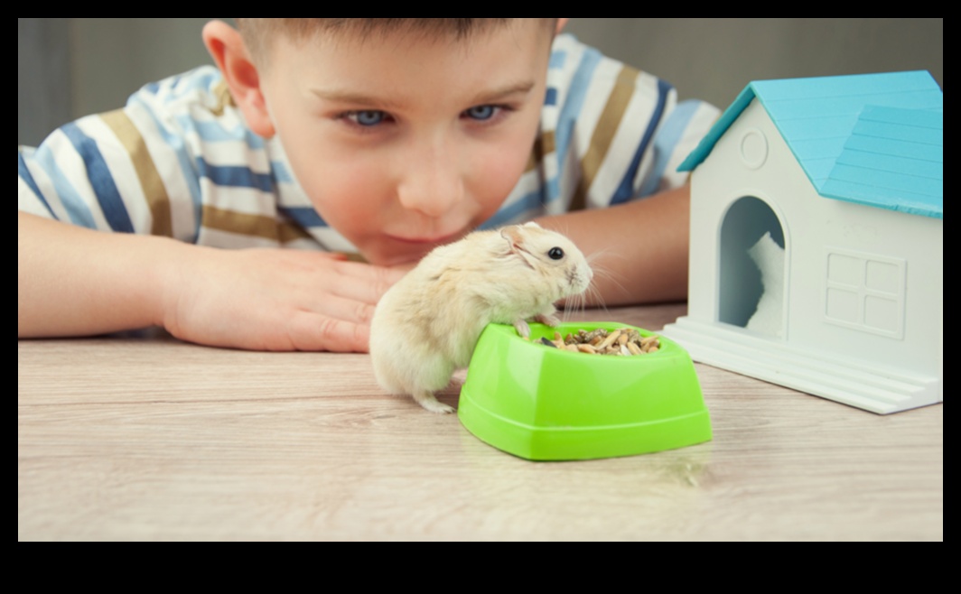 Hamster Hygiene Hacks: Maintaining a Clean and Happy Living Space