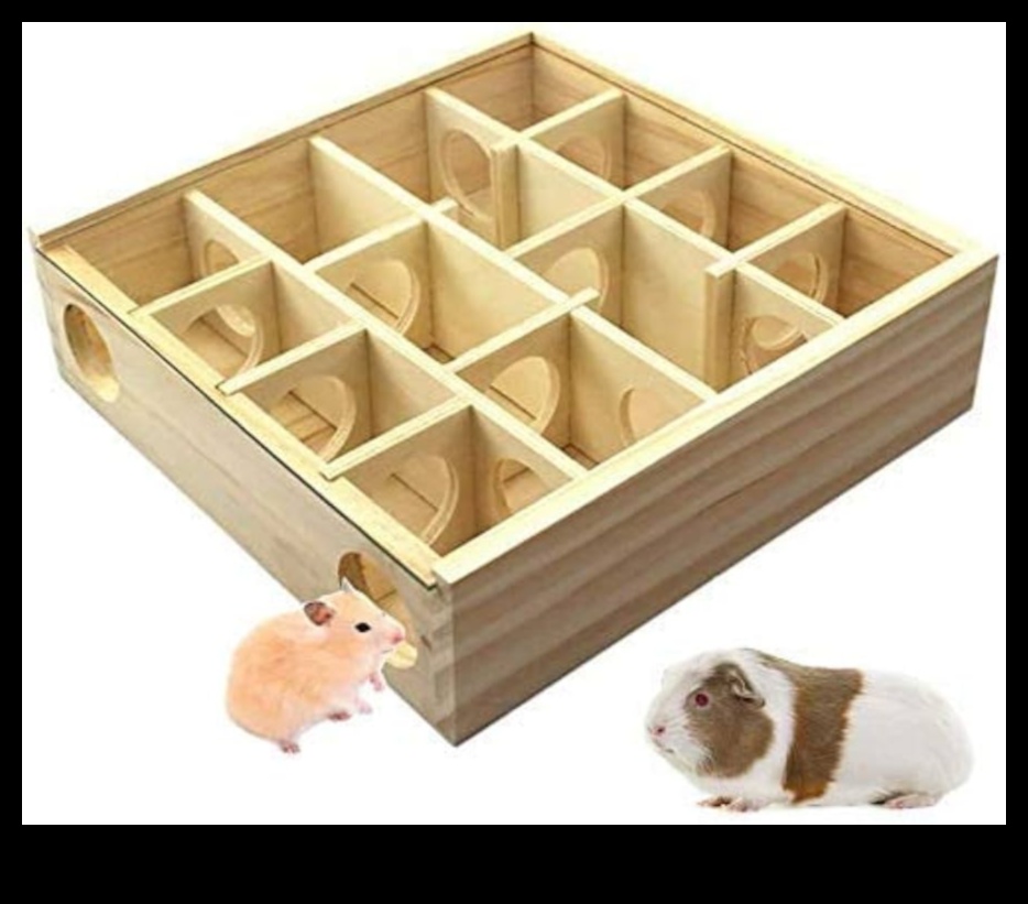 Hamster Maze Mania: Constructing a Mini Labyrinth for Fun