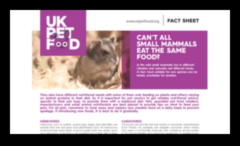 Hamster Nutrition Myths Continued: Fact-Checking Popular Beliefs