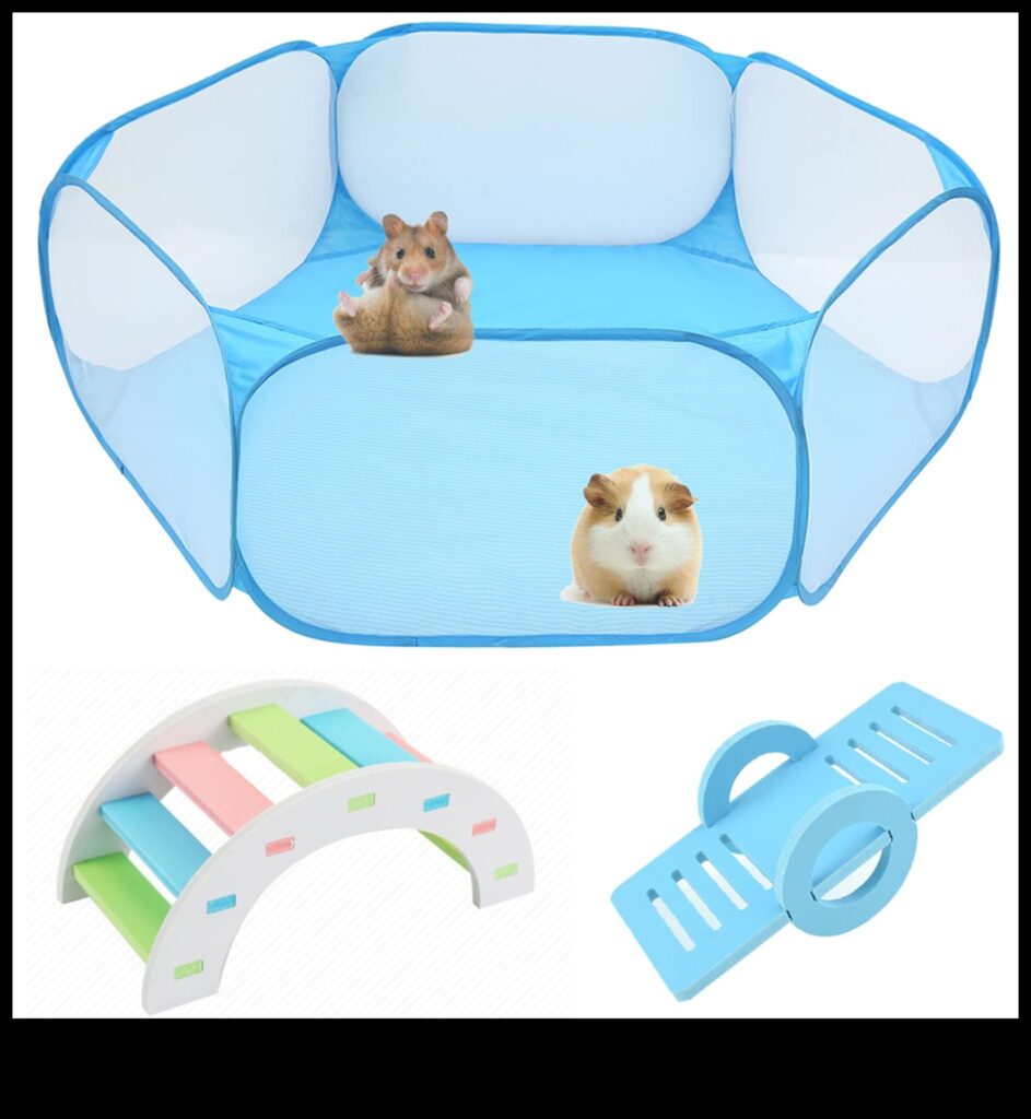Hamster Playpens Creating Safe Spaces for Supervised Exploration 1