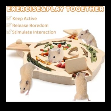 Hamster Playtime Continued: DIY Games for Mental Stimulation