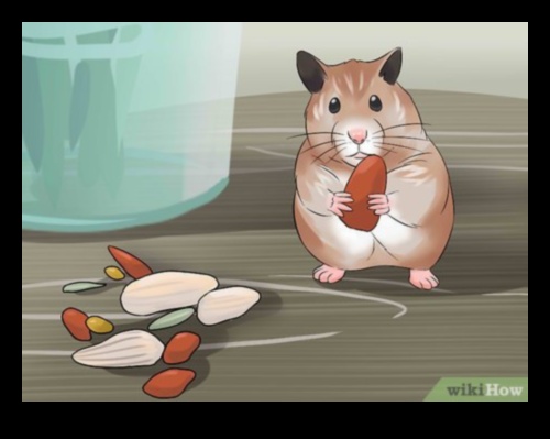 Hamster Playtime Continued: DIY Games for Mental Stimulation