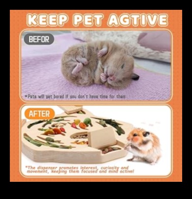 Hamster Playtime Continued: Interactive Games for Mental Stimulation