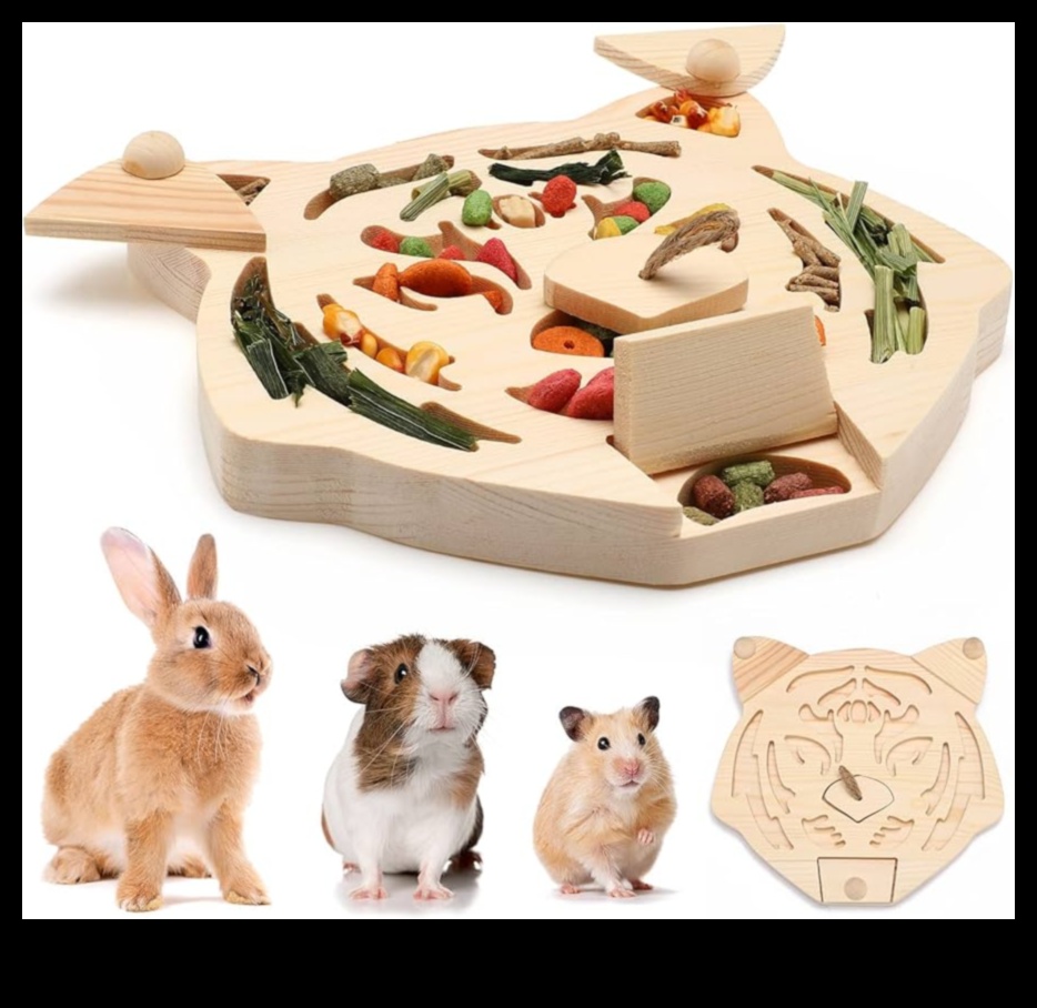 Hamster Playtime Continued: Interactive Games for Mental Stimulation