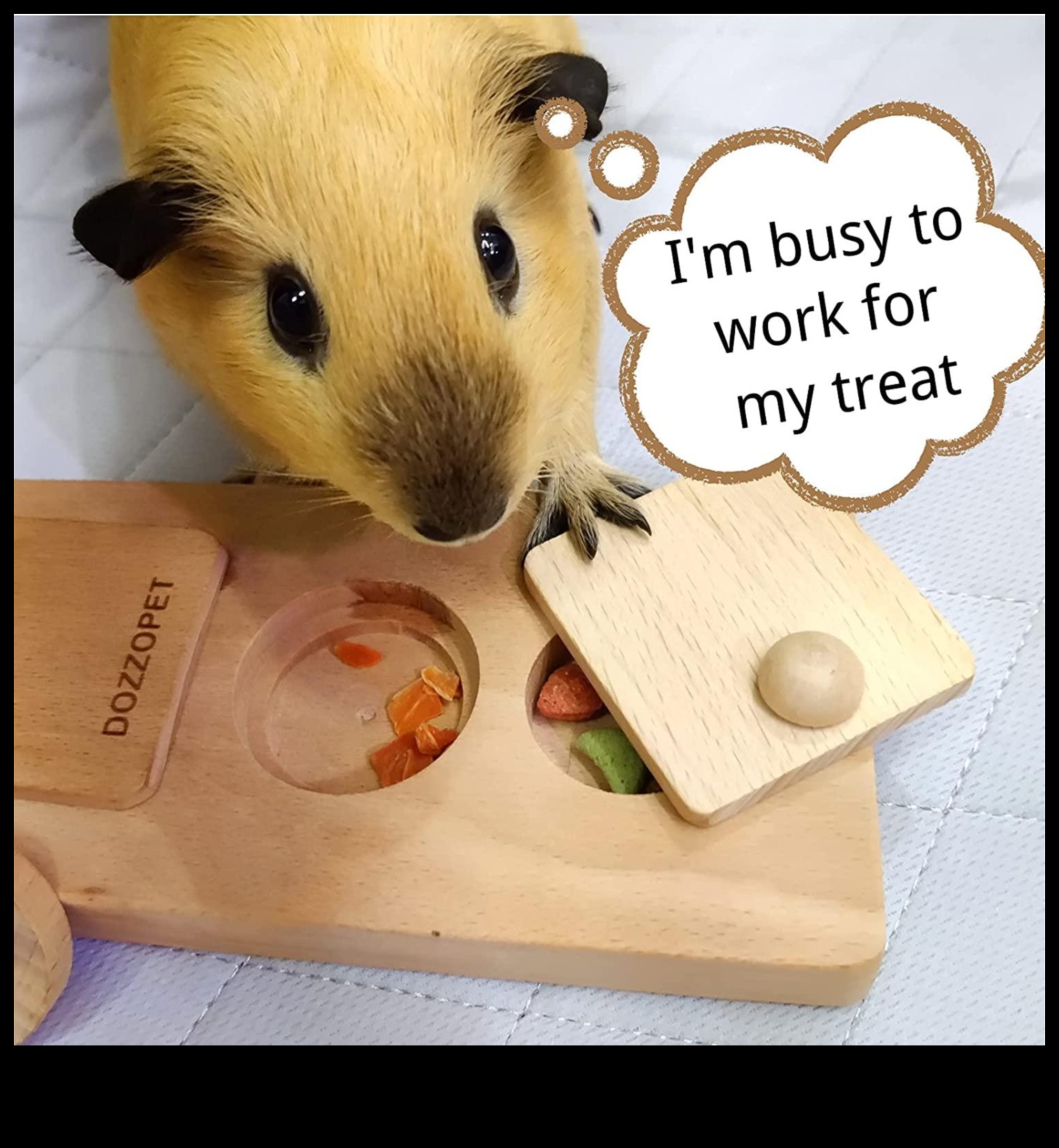 Hamster Playtime Continued: Interactive Games for Mental Stimulation